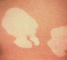 ffc91b002be1d926881bb0d475a44589 (1).jpg