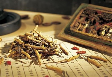 白癜风患者能喝茶吗